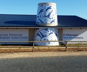  African Penguin & Seabird Sanctuary
